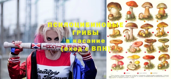 jwh Богородск
