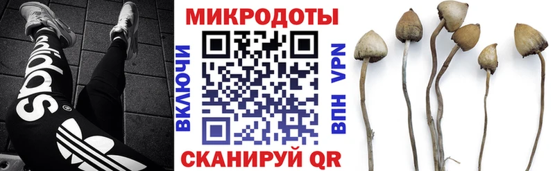 Галлюциногенные грибы Psilocybine cubensis  darknet официальный сайт  Когалым 